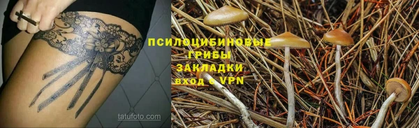 прущие крисы Алзамай