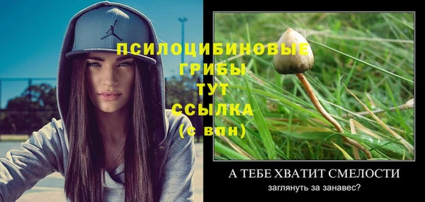 прущие крисы Алзамай
