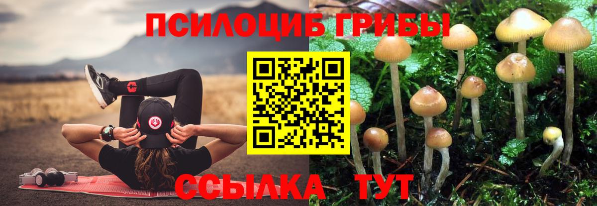 Анжеро-Судженск  наркошоп  Вход с VPN  Галлюциногенные грибы Cubensis 