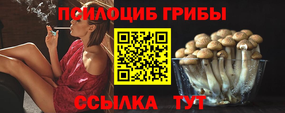 Псилоцибиновые грибы прущие грибы Анжеро-Судженск