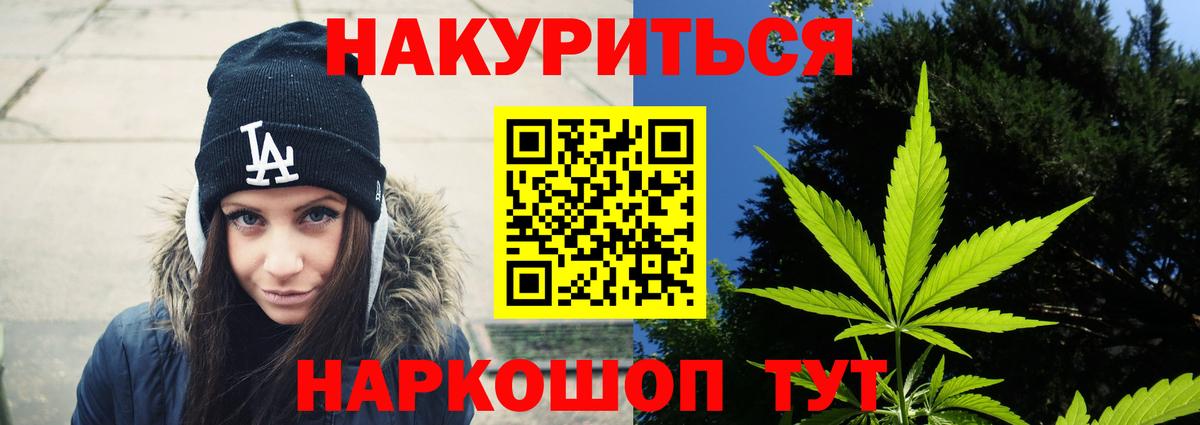 Конопля гибрид Анжеро-Судженск
